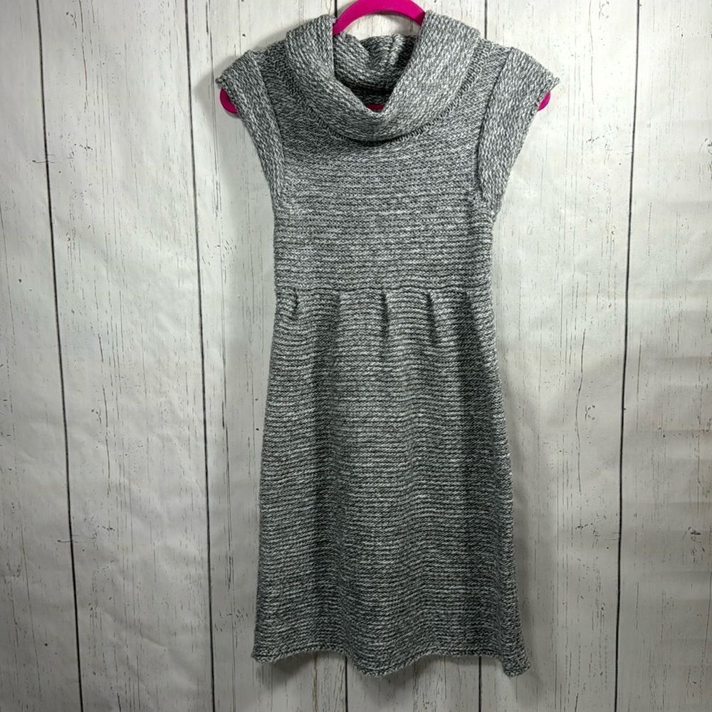 Dragonfly Lamb Wool Cowl Neck Heather Gray Knit Cap Sleeve Sweater Mini Dress